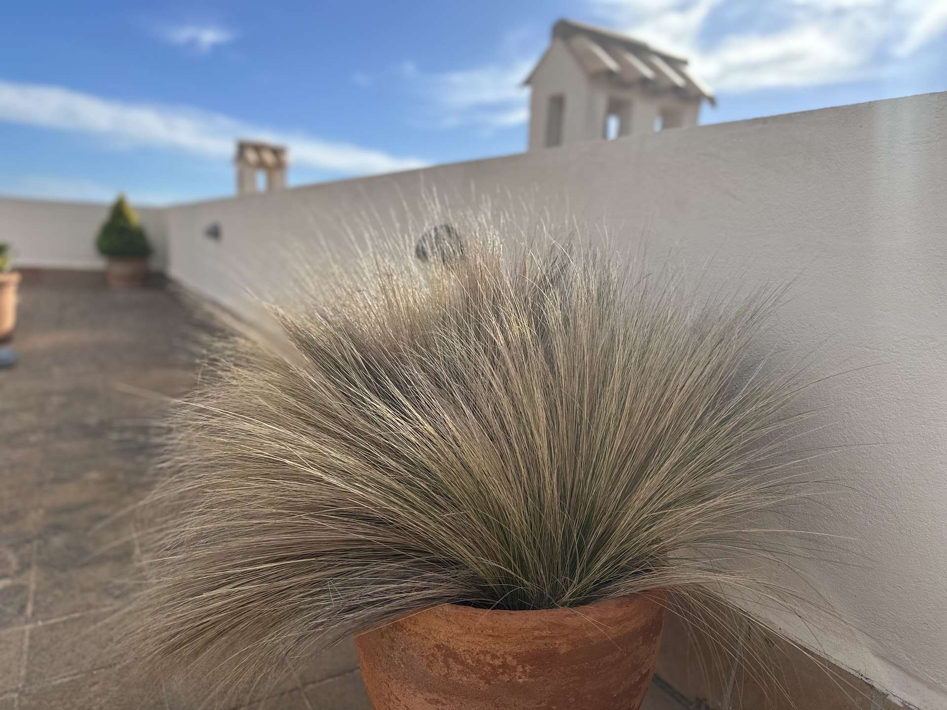 [object Object] - image