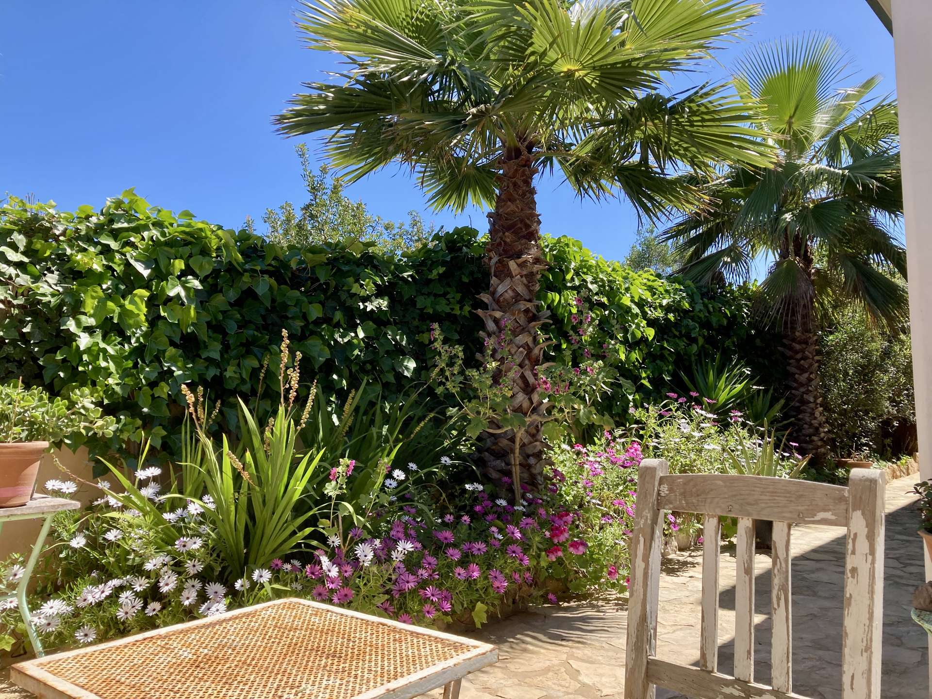 [object Object] - image