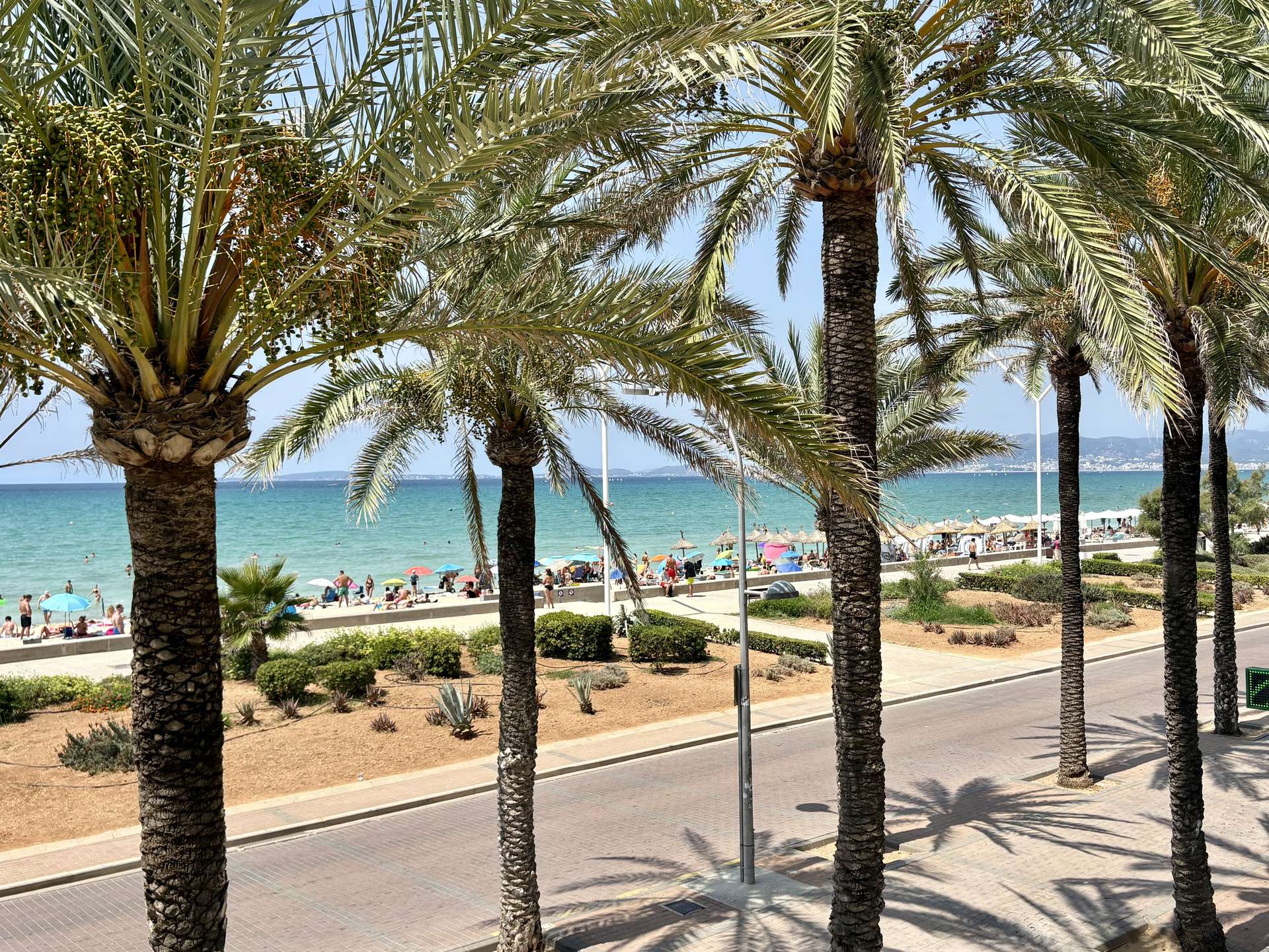 [object Object] - image