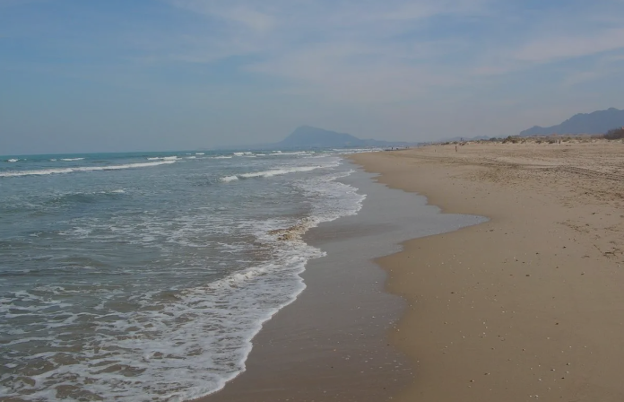 [object Object] - image