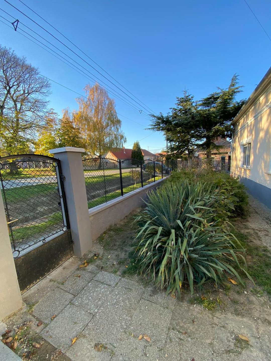 [object Object] - image