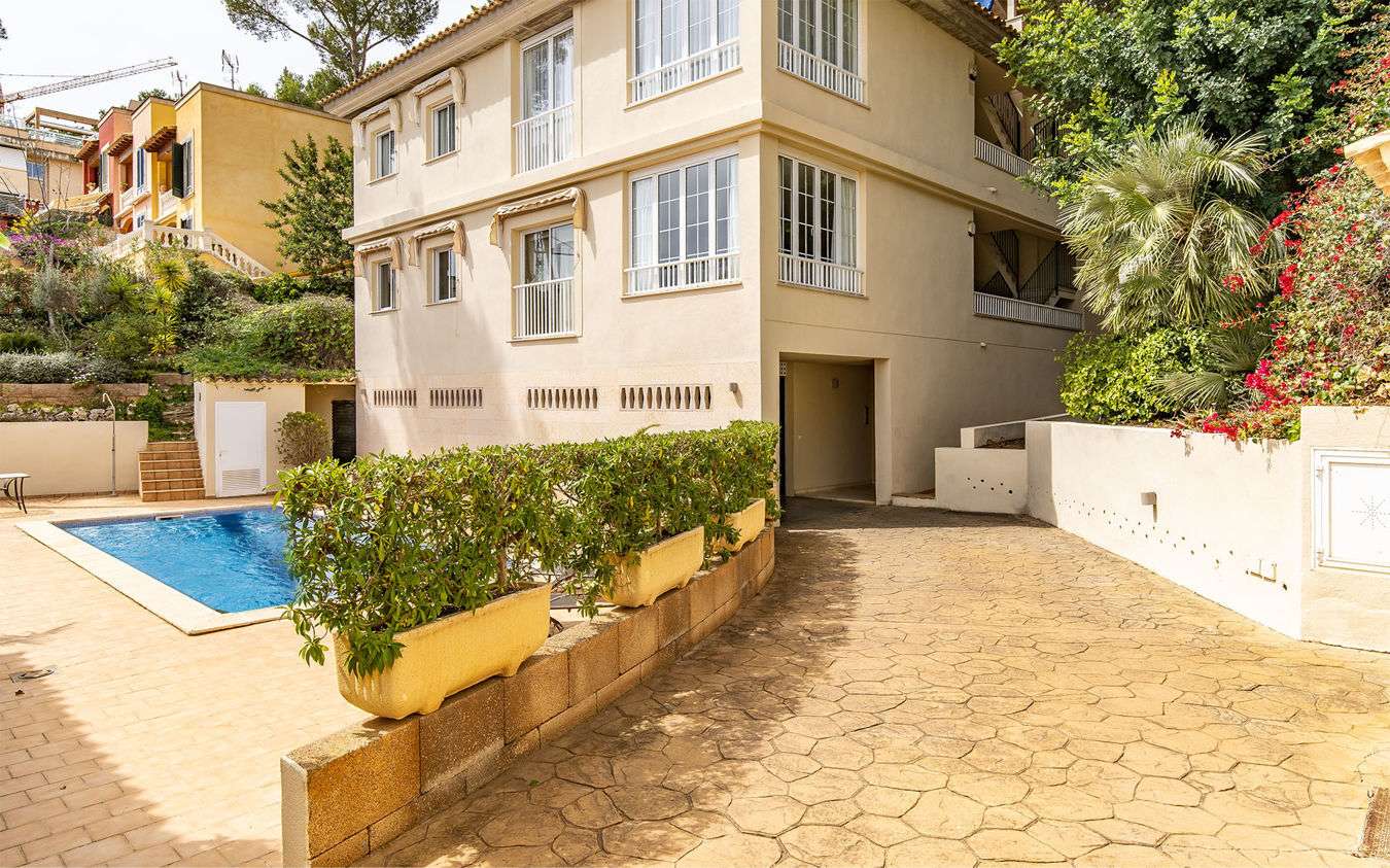 [object Object] - image