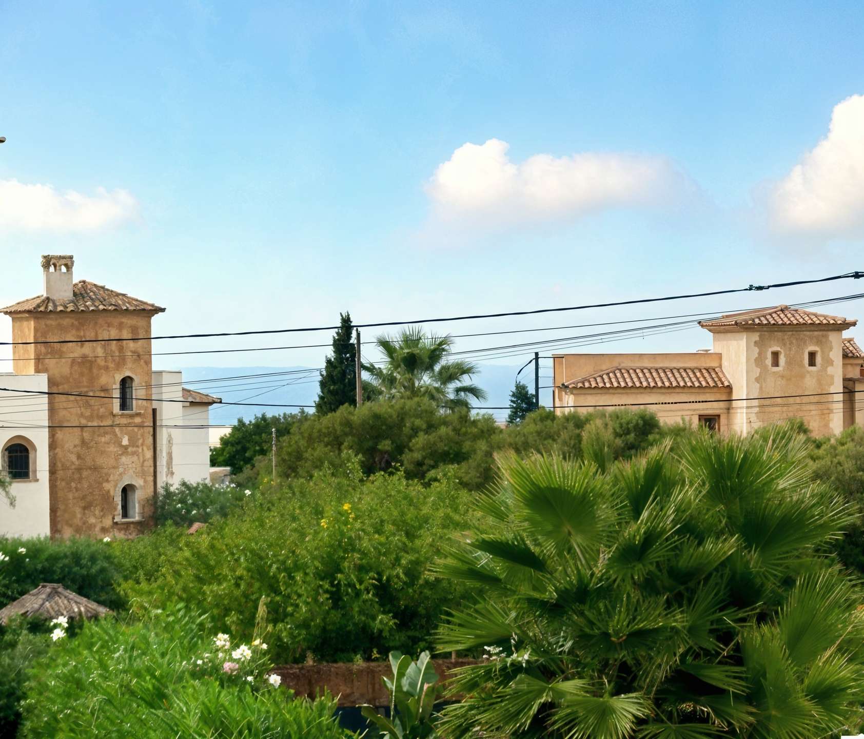 [object Object] - image