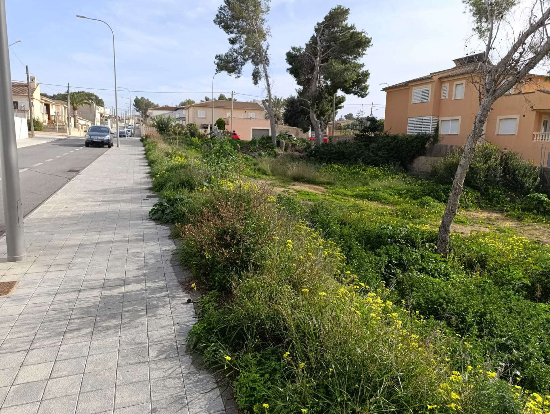 [object Object] - image