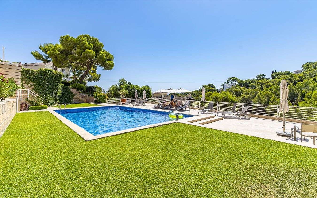 [object Object] - image