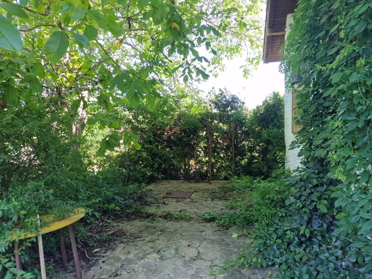 [object Object] - image