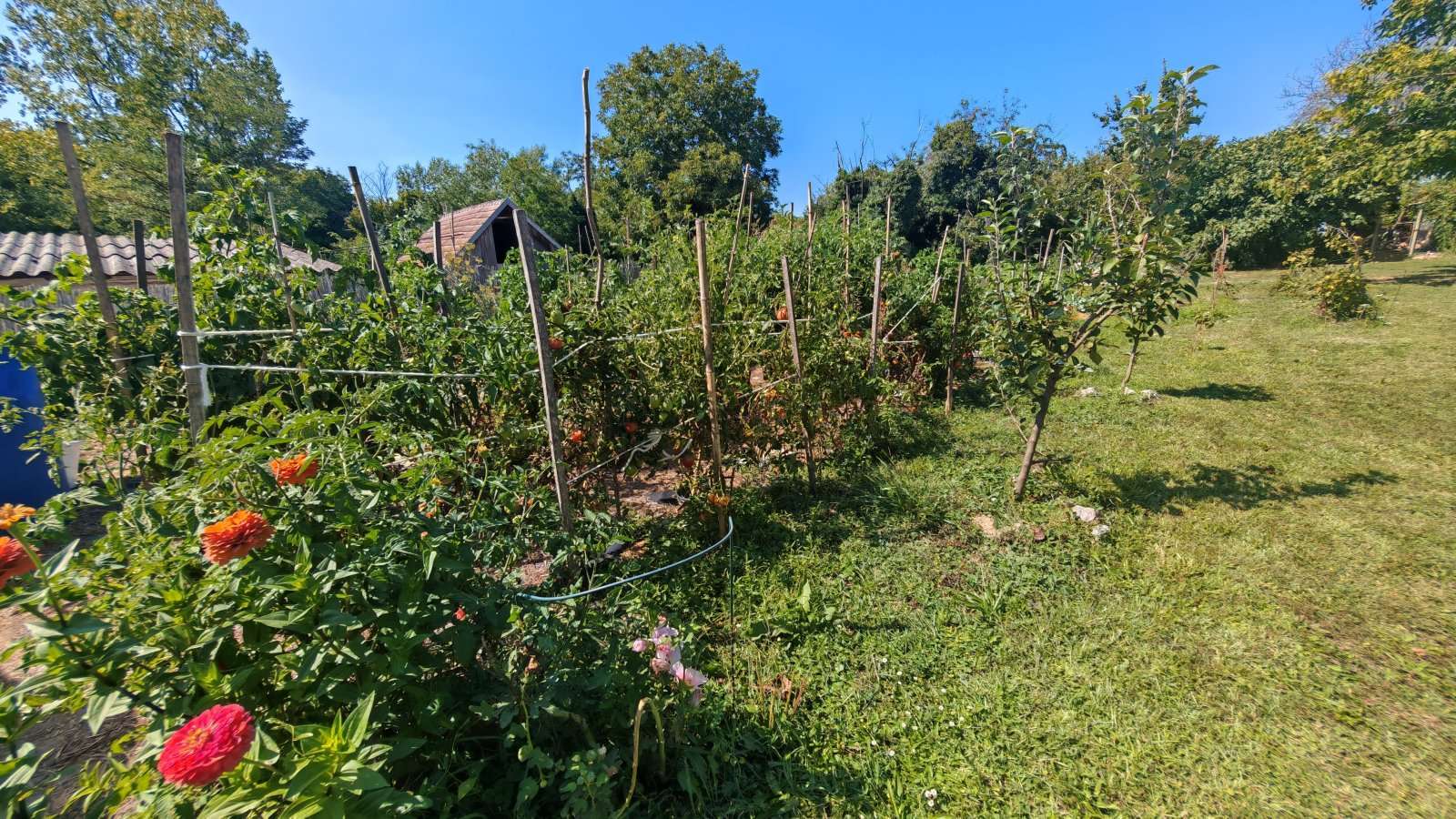 [object Object] - image