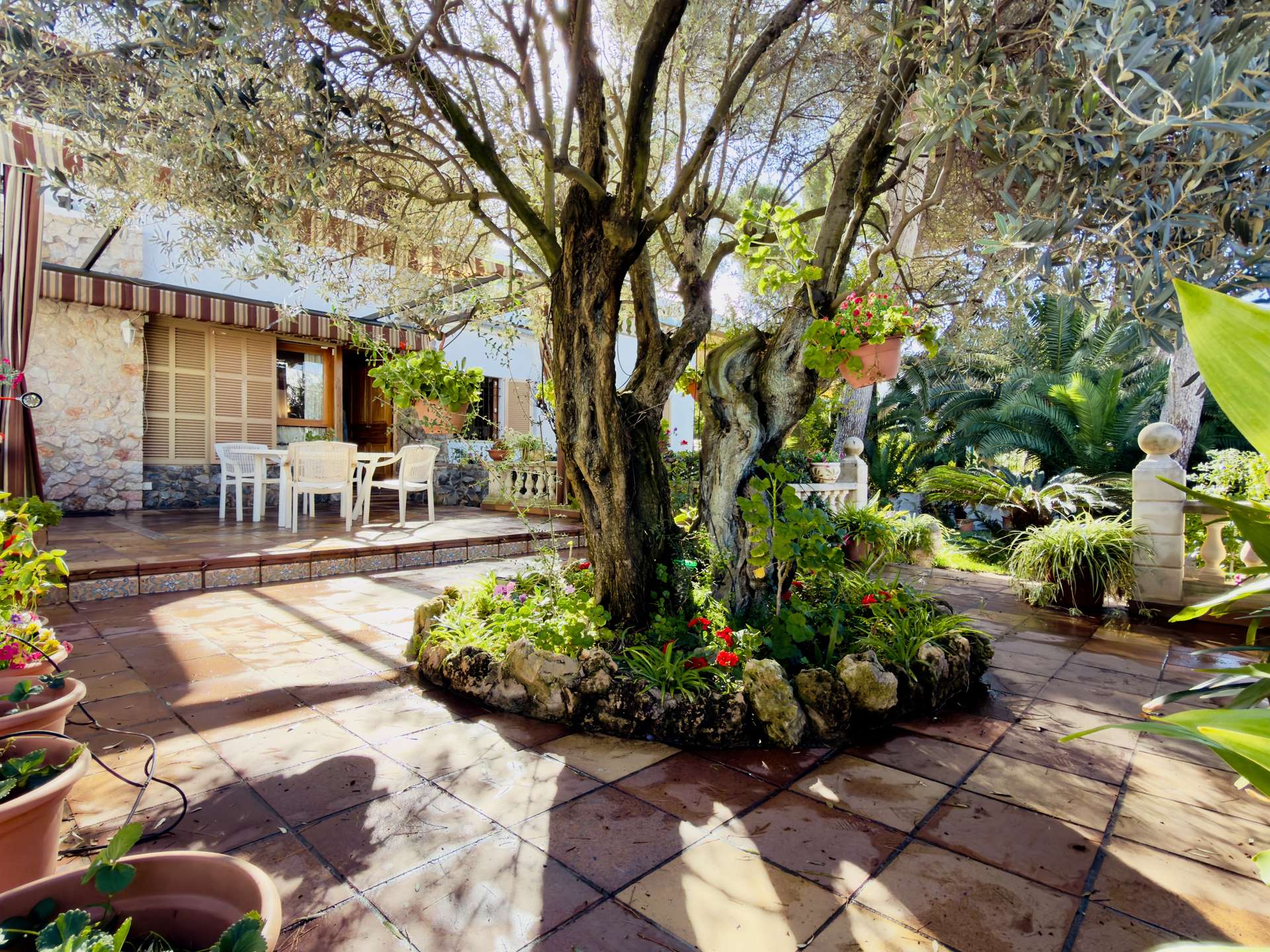 [object Object] - image