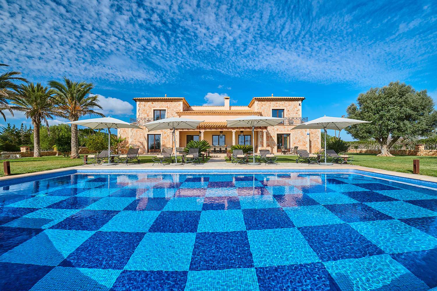 [object Object] - image