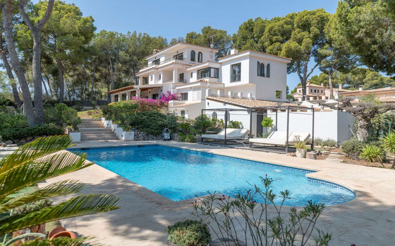 [object Object] - image