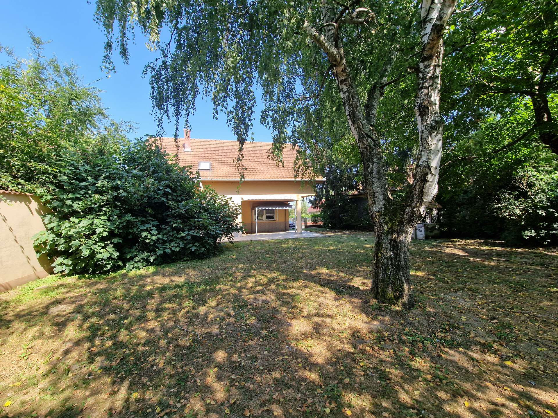 [object Object] - image