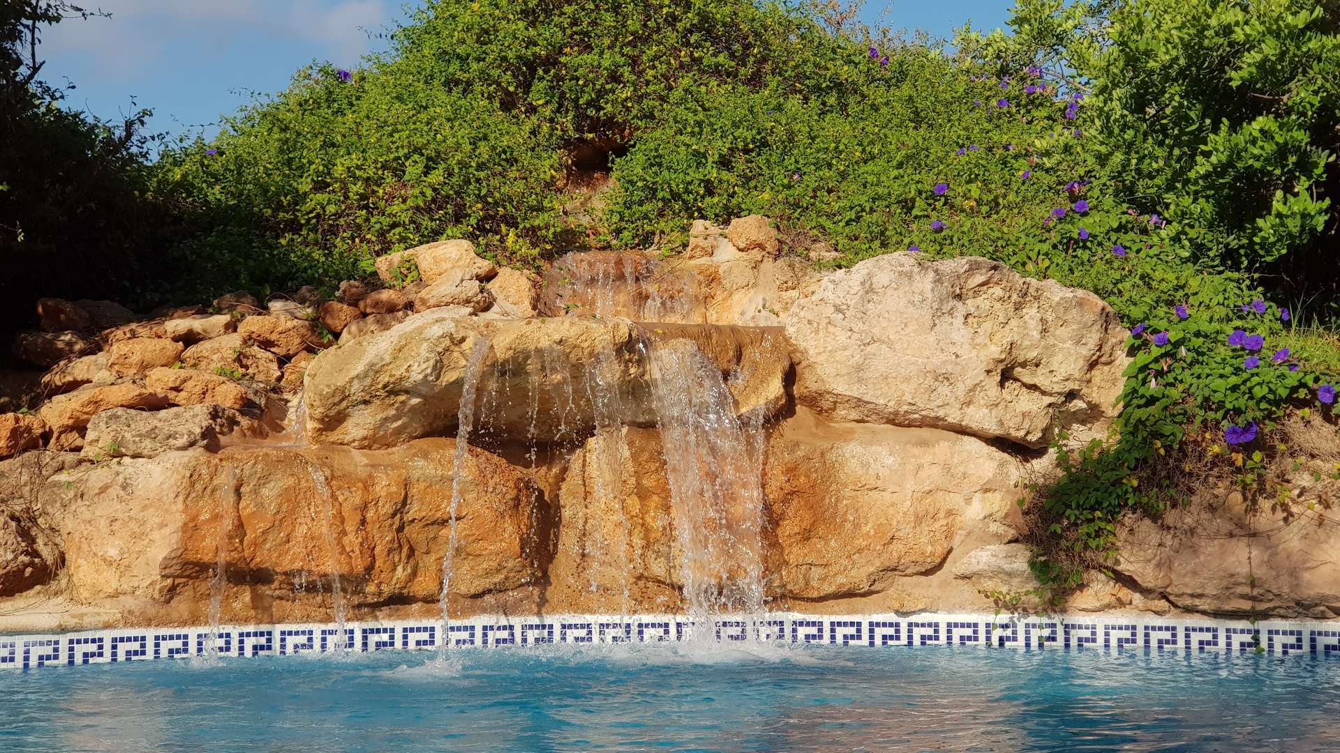 [object Object] - image