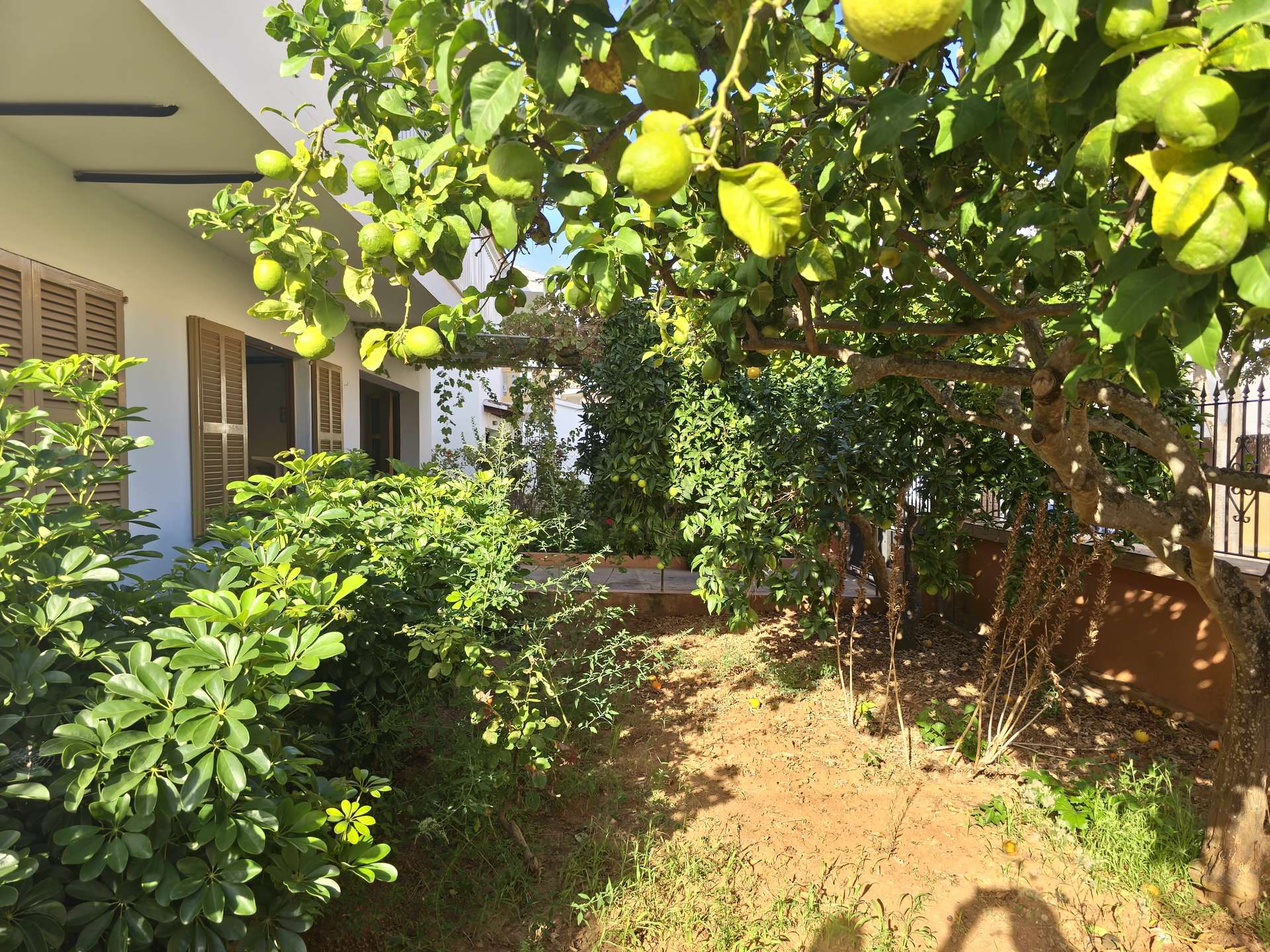 [object Object] - image