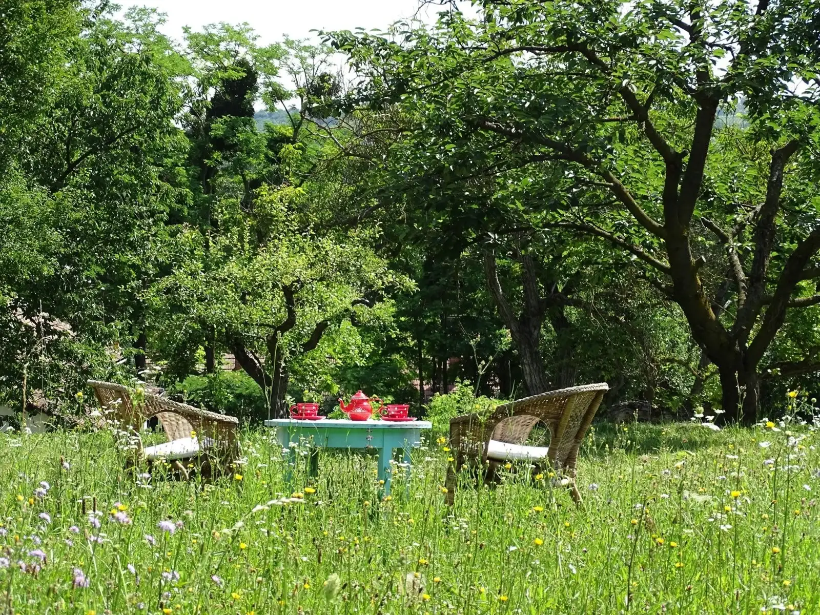 [object Object] - image