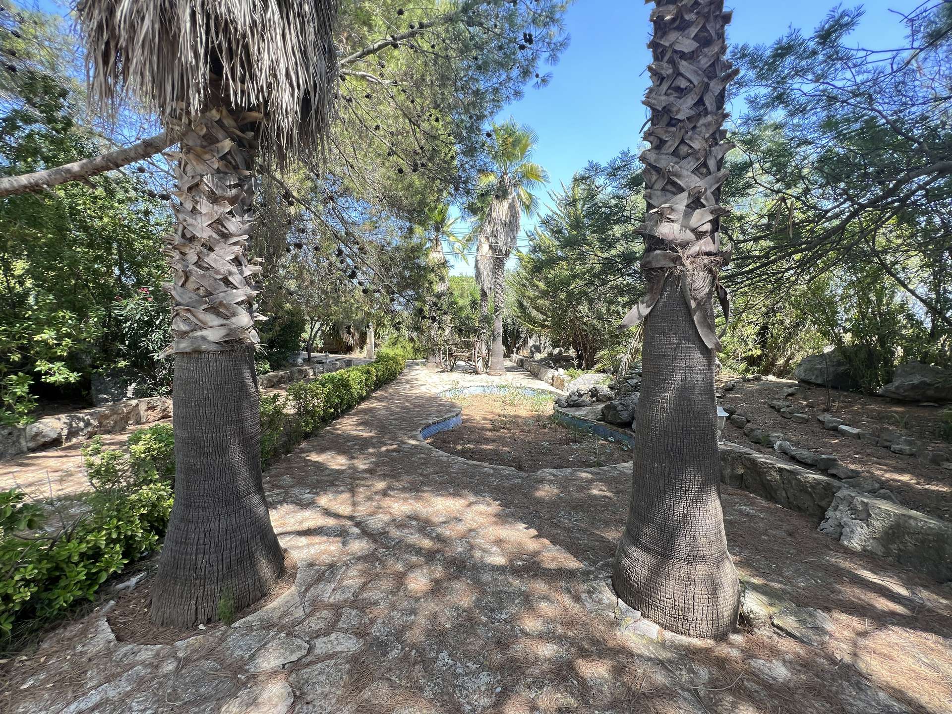 [object Object] - image