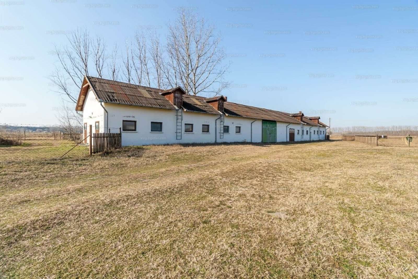 [object Object] - image