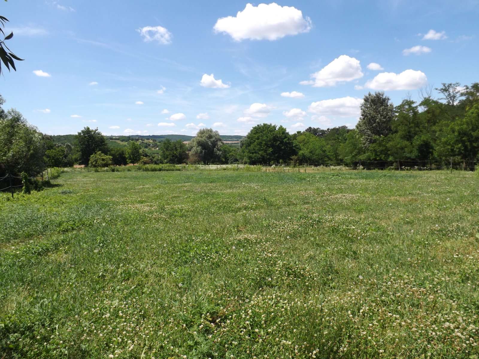 [object Object] - image