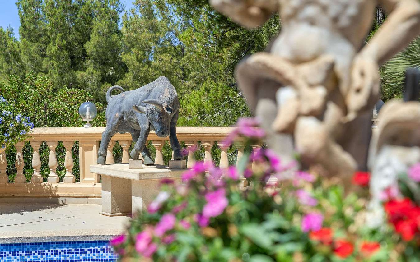 [object Object] - image