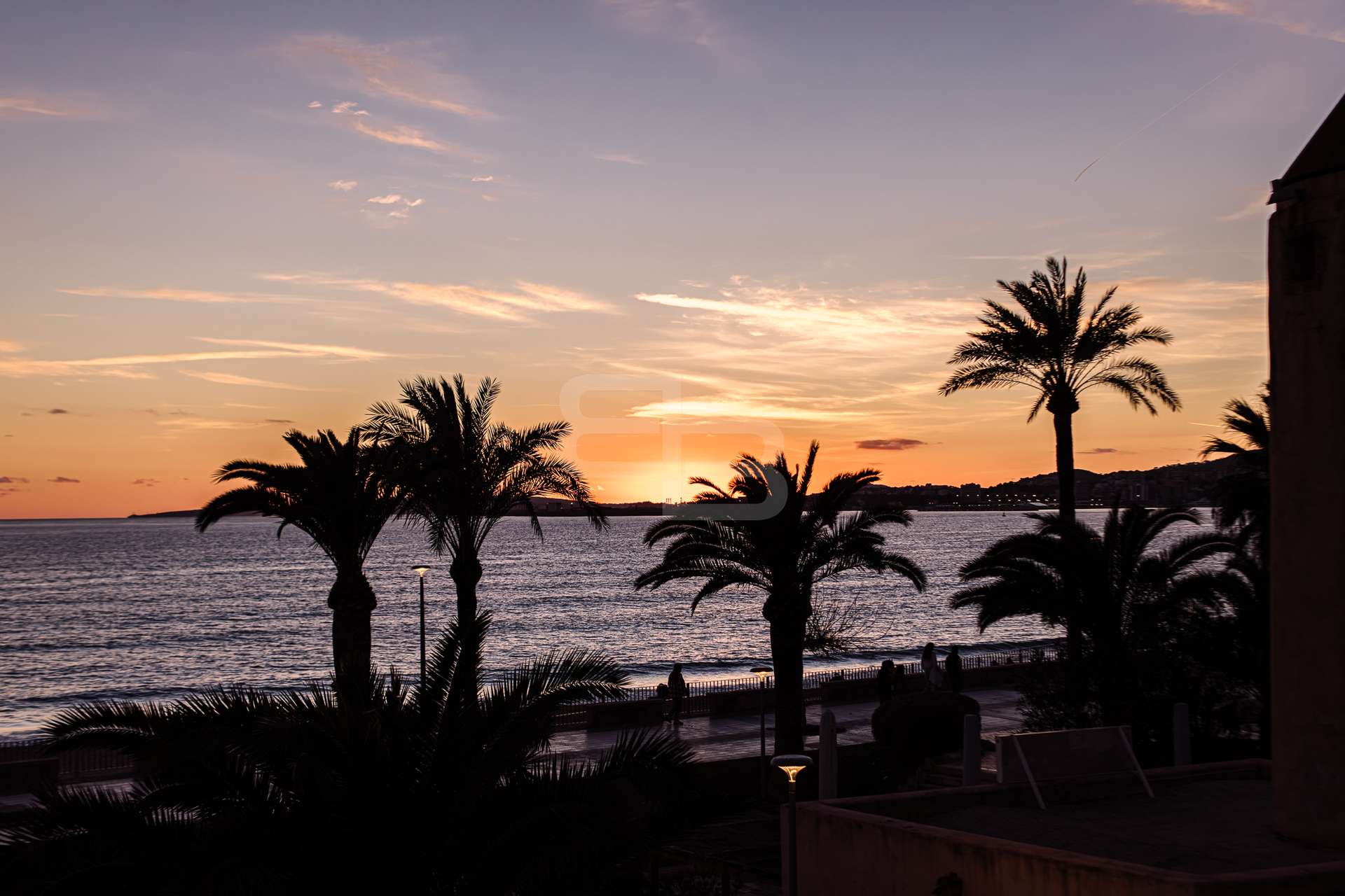 [object Object] - image