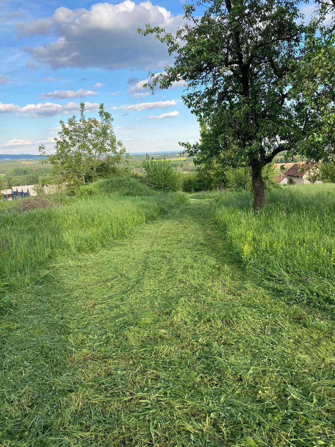 [object Object] - image