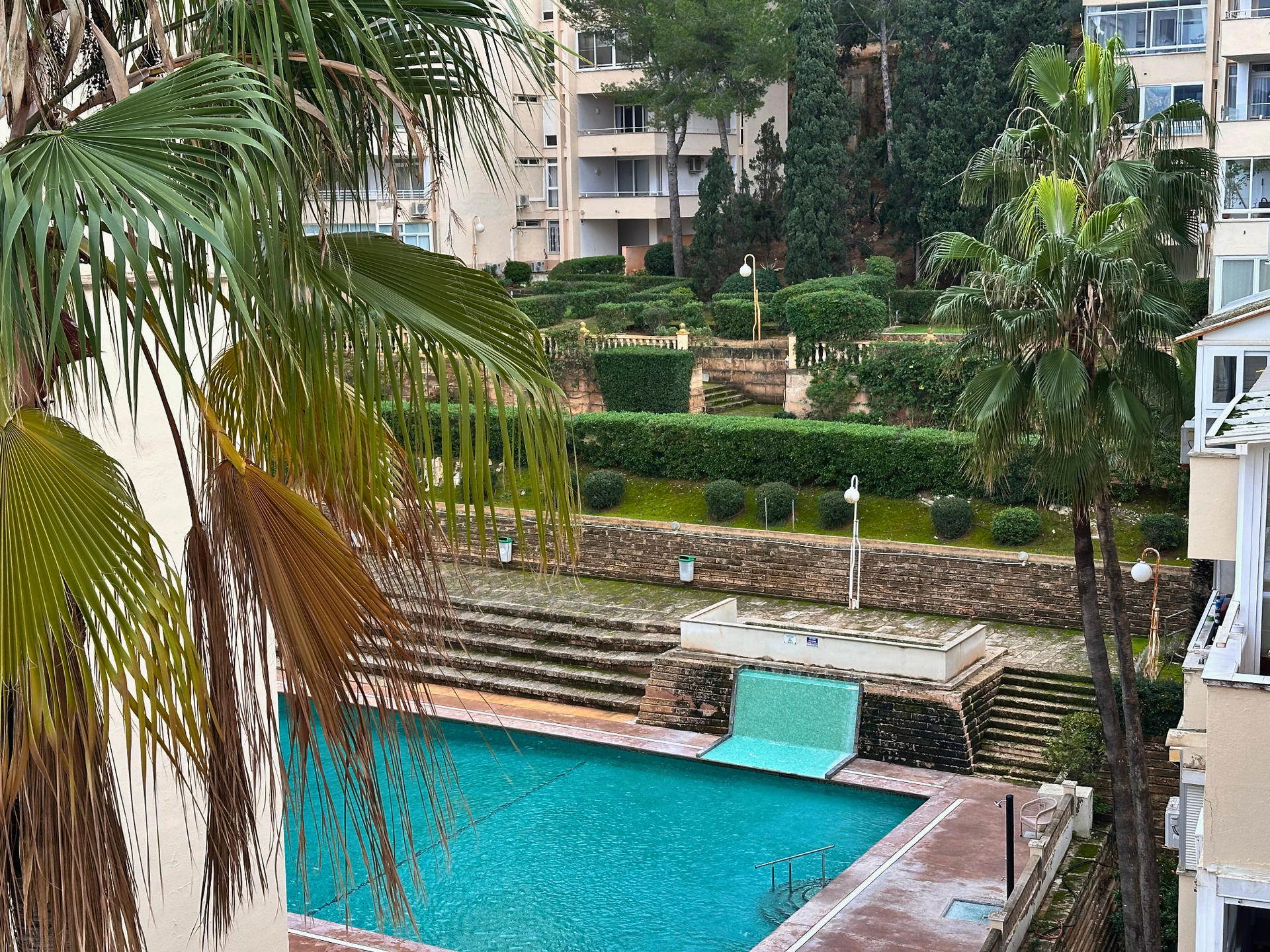 [object Object] - image