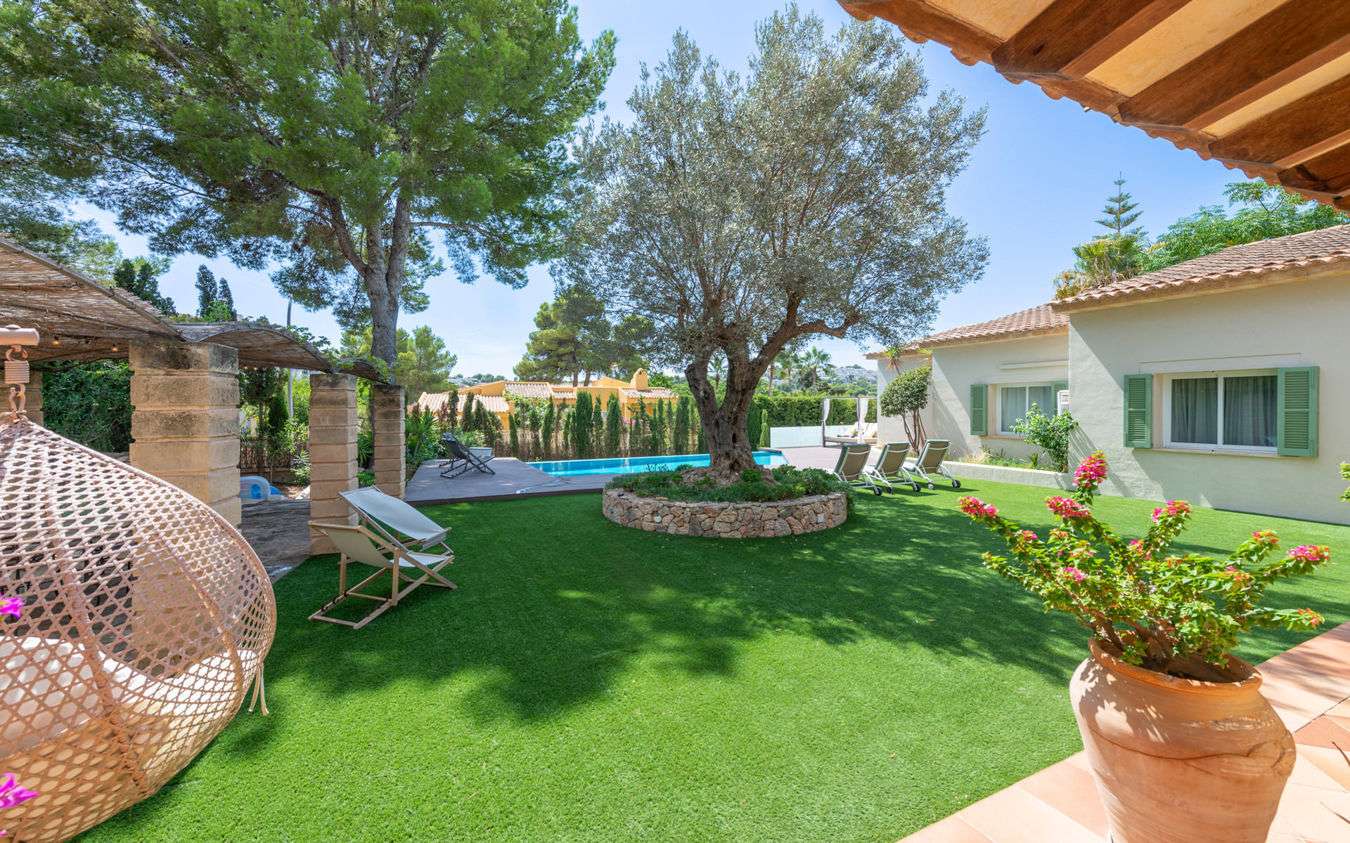 [object Object] - image