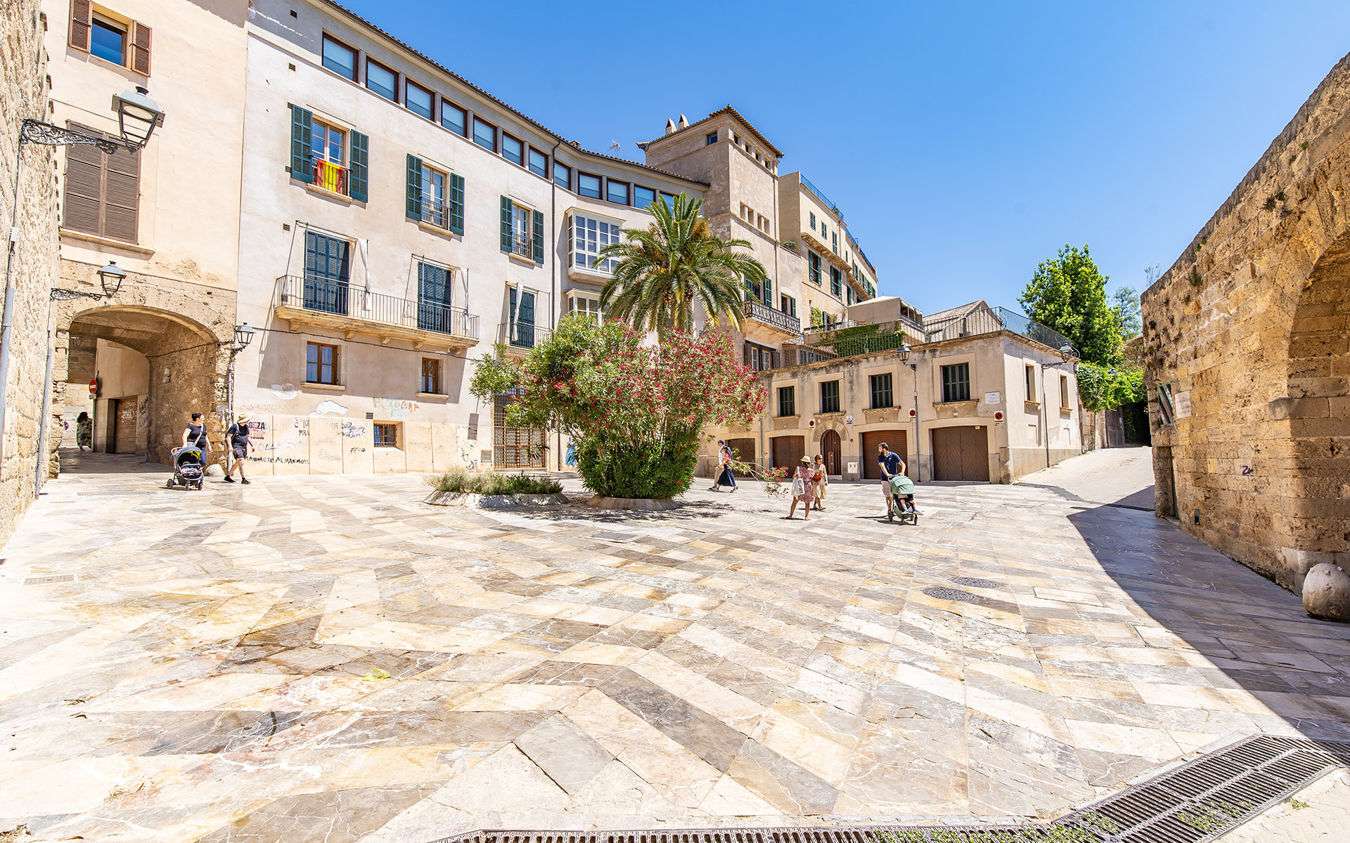 [object Object] - image