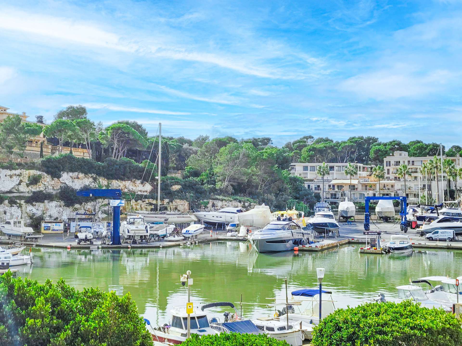 [object Object] - image