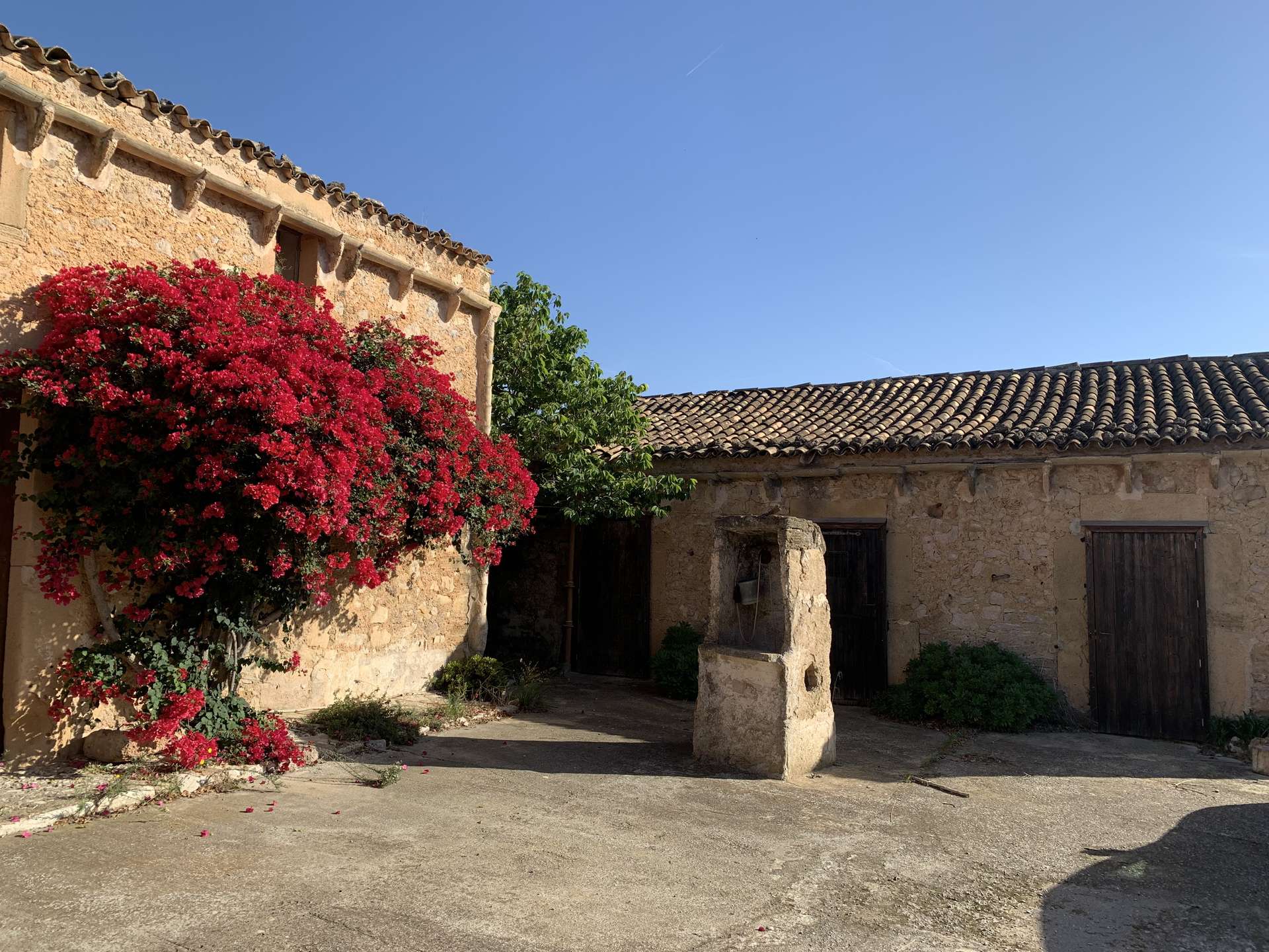 [object Object] - image