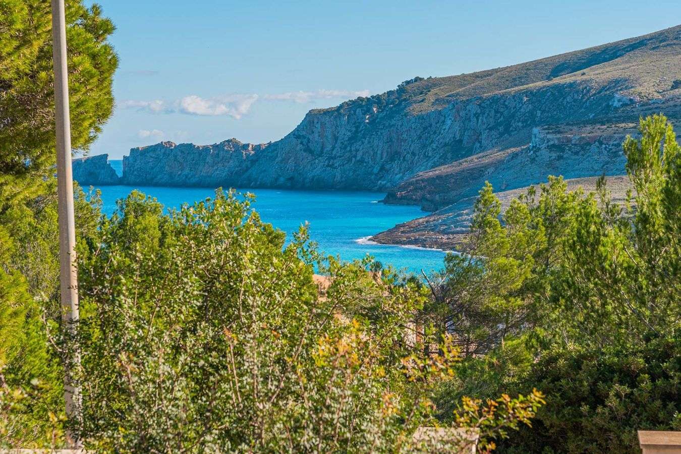 [object Object] - image