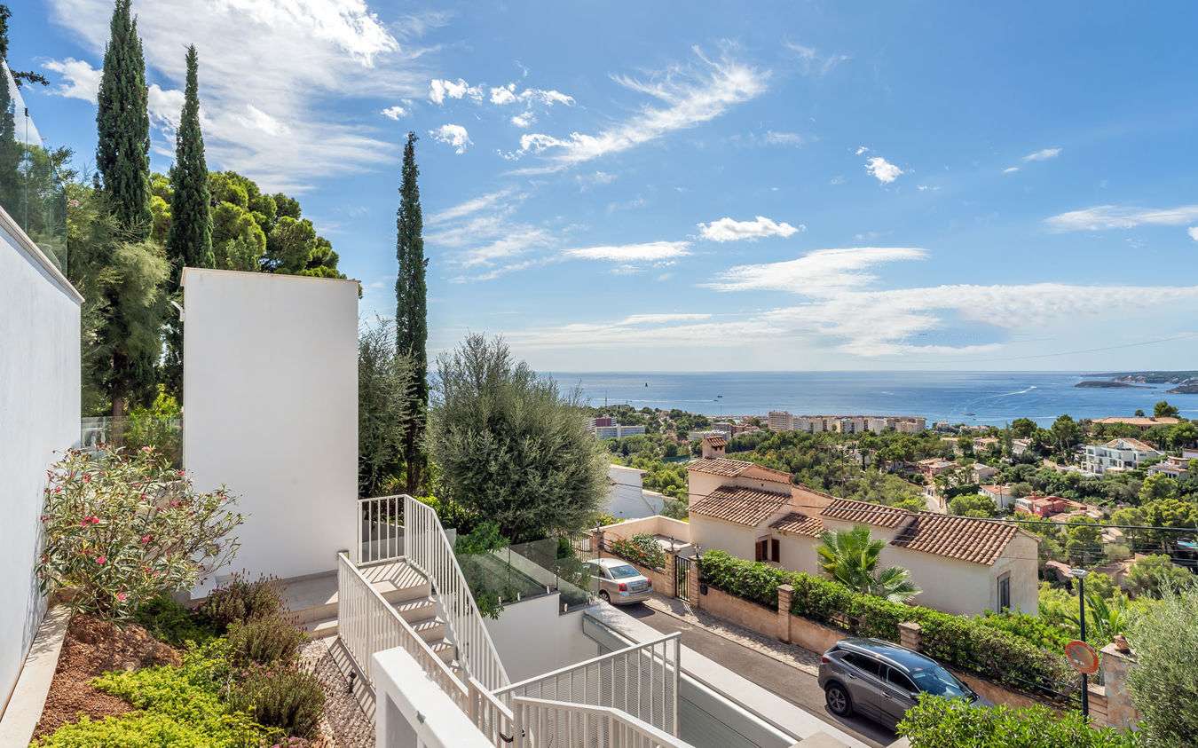 [object Object] - image