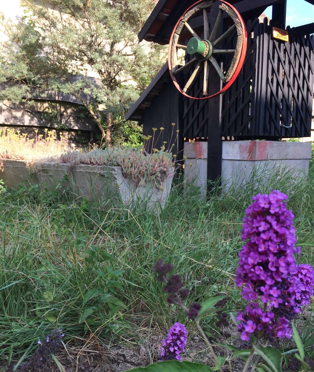 [object Object] - image