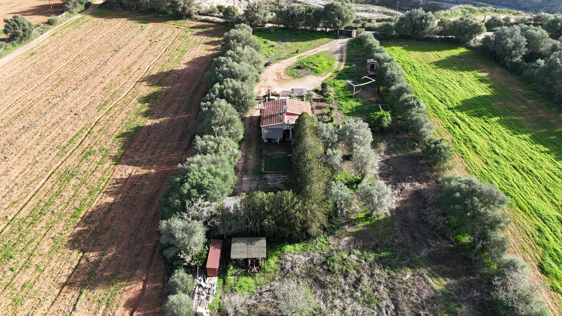 [object Object] - image