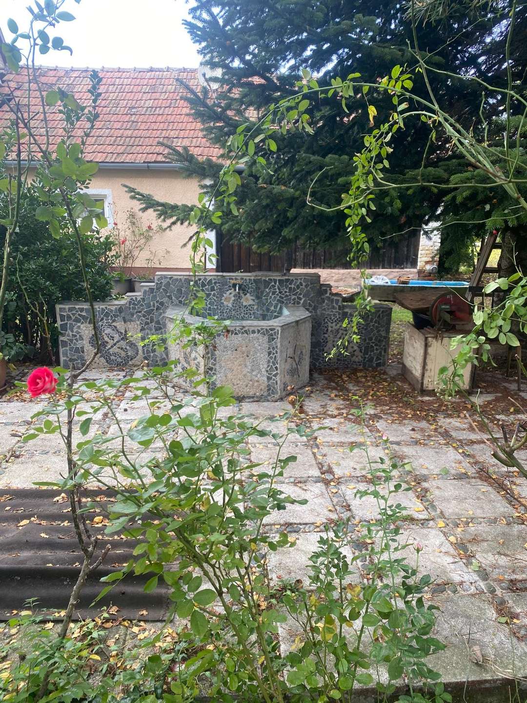 [object Object] - image