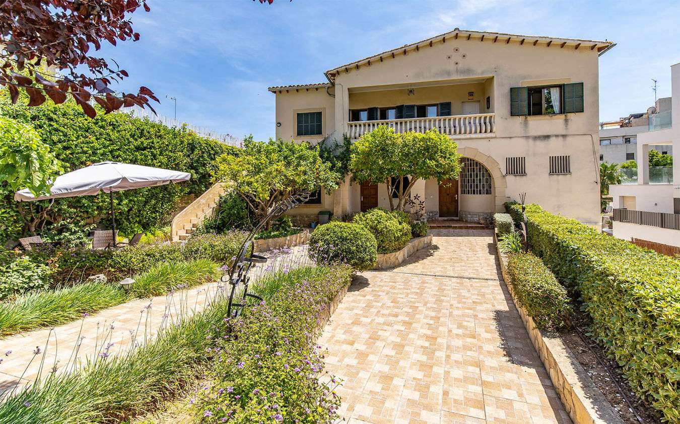 [object Object] - image