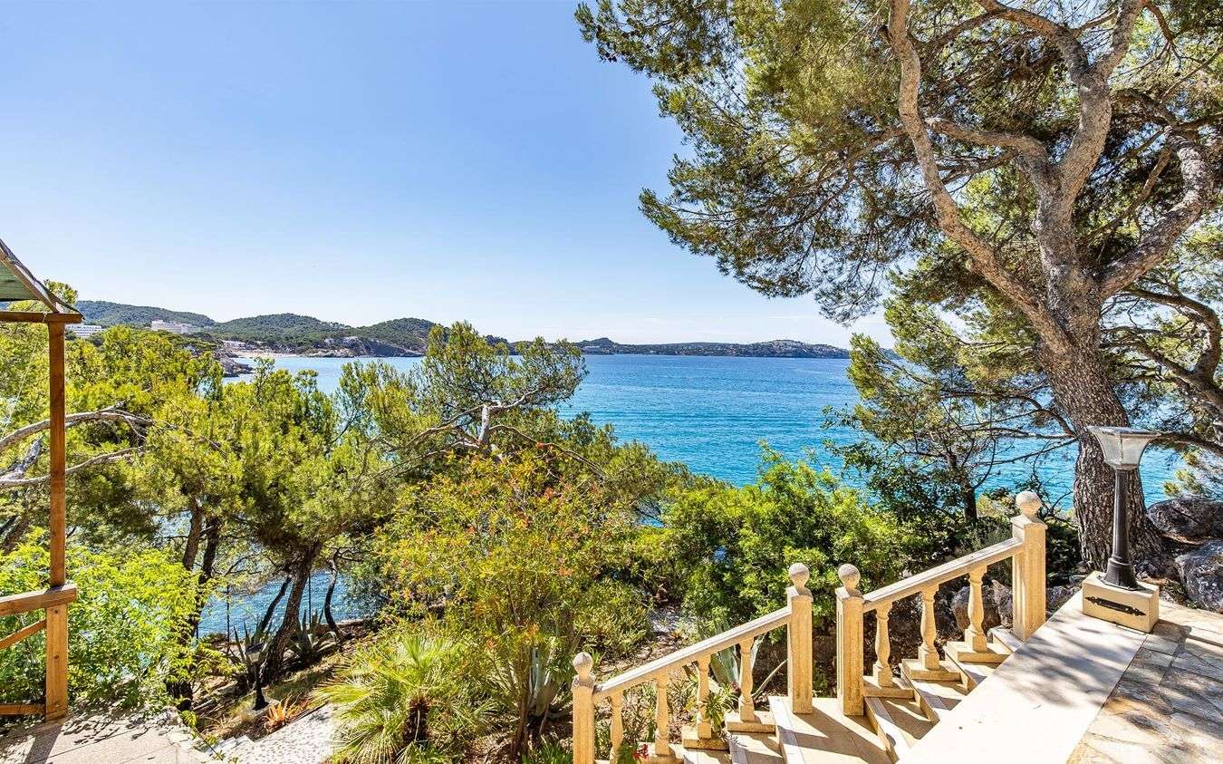 [object Object] - image