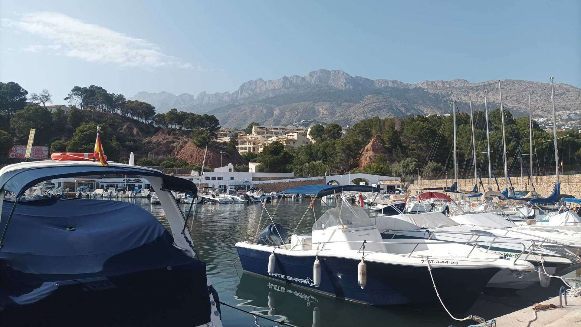 [object Object] - image