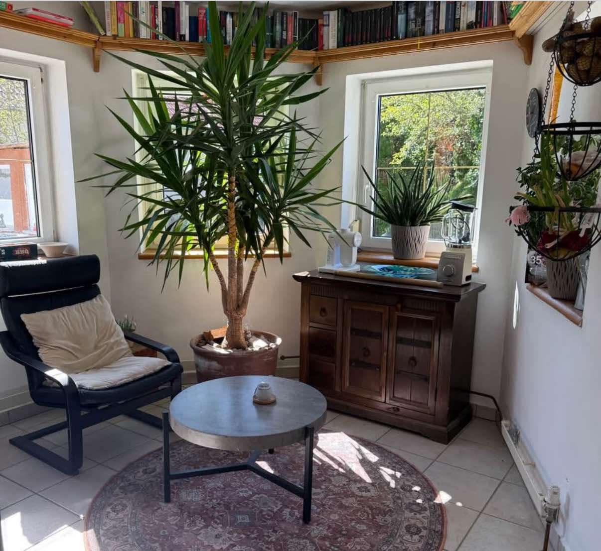 [object Object] - image