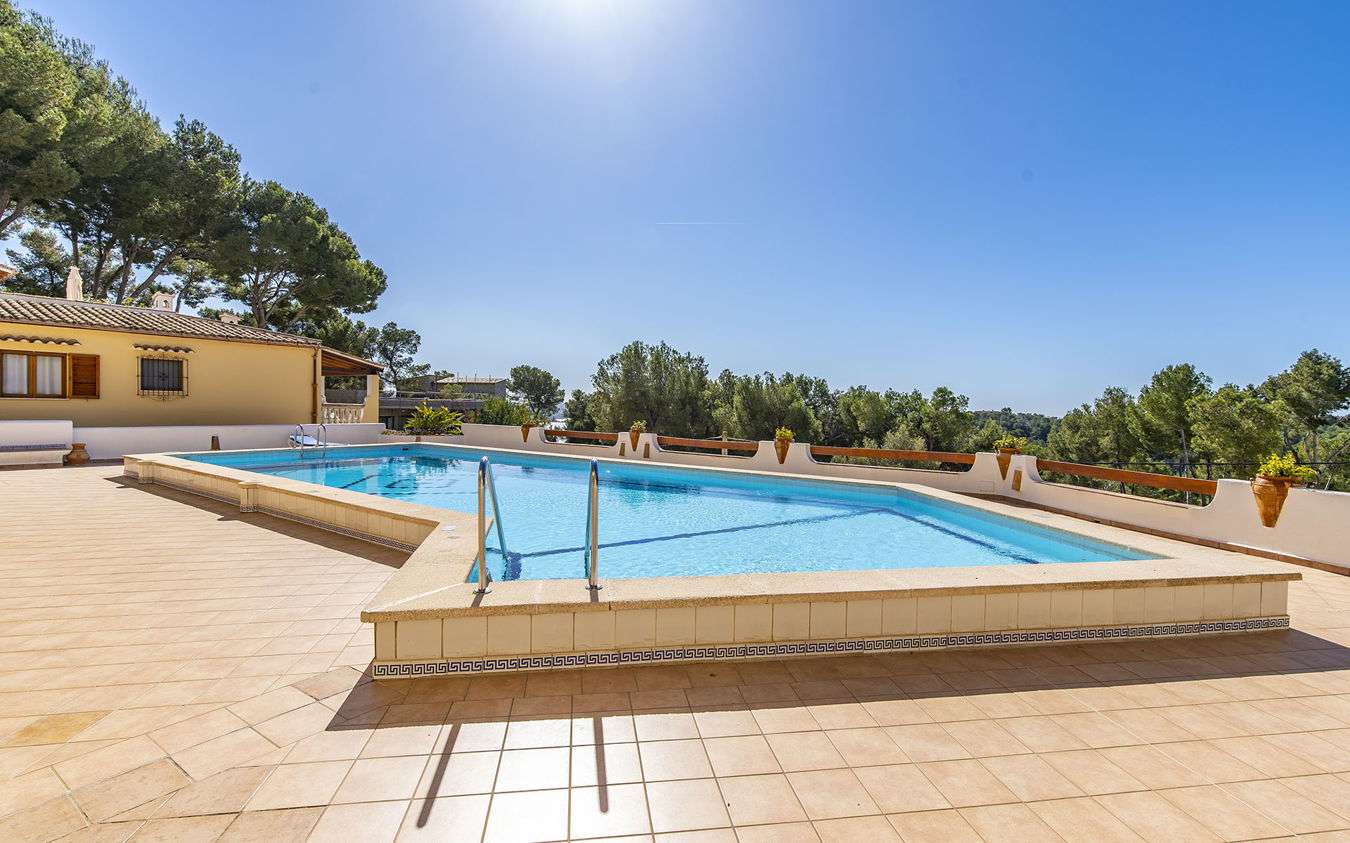 [object Object] - image