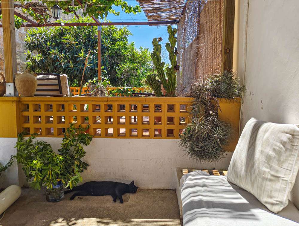 [object Object] - image