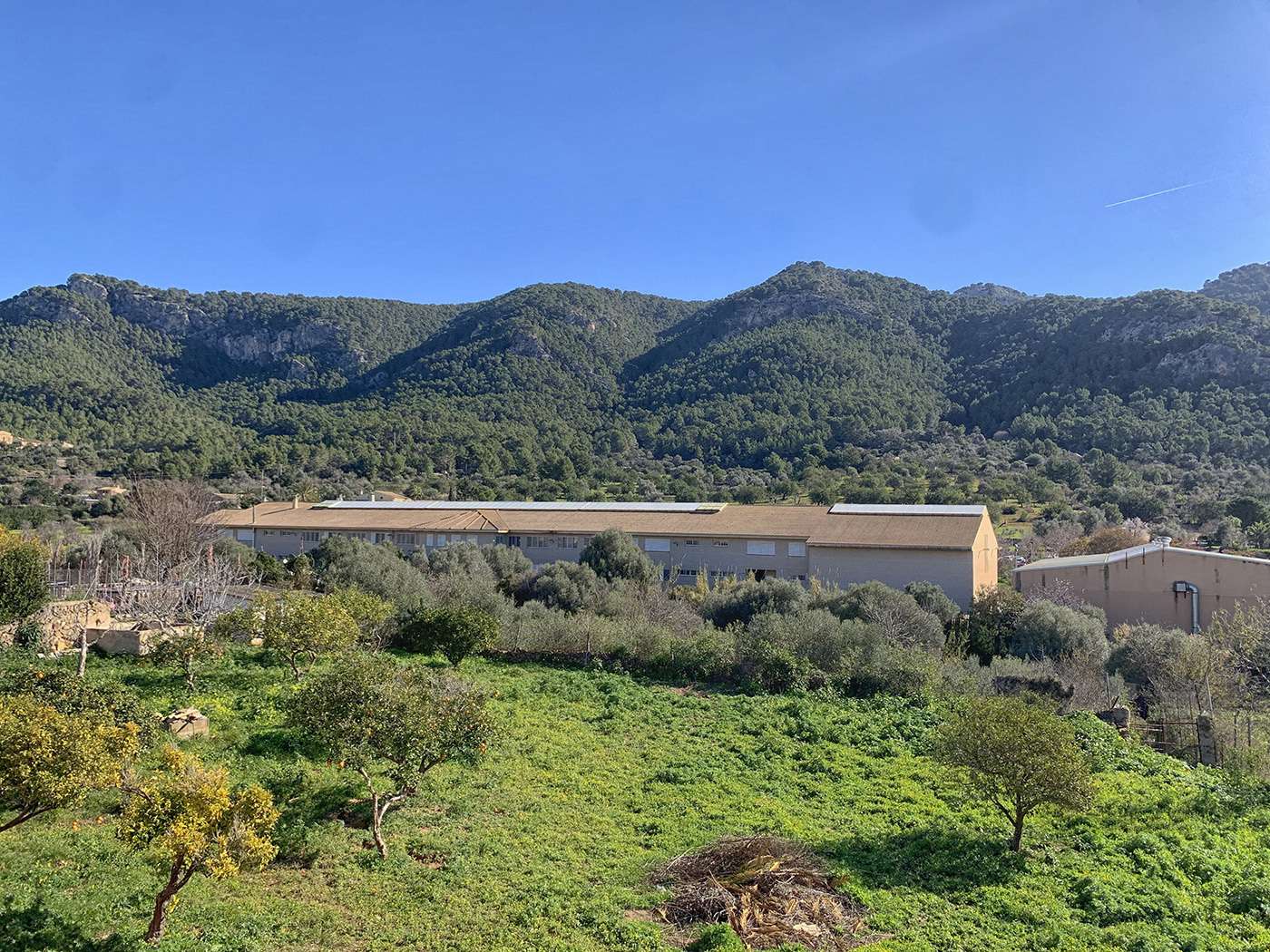 [object Object] - image