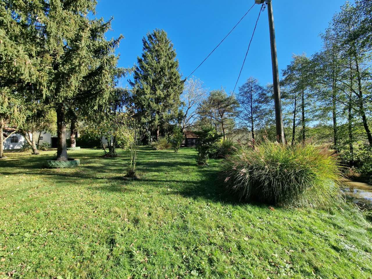 [object Object] - image