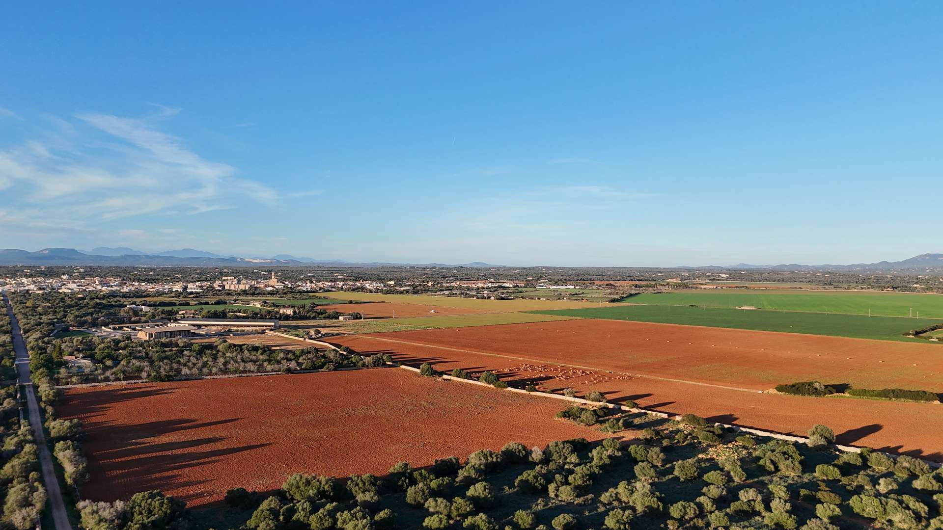 [object Object] - image