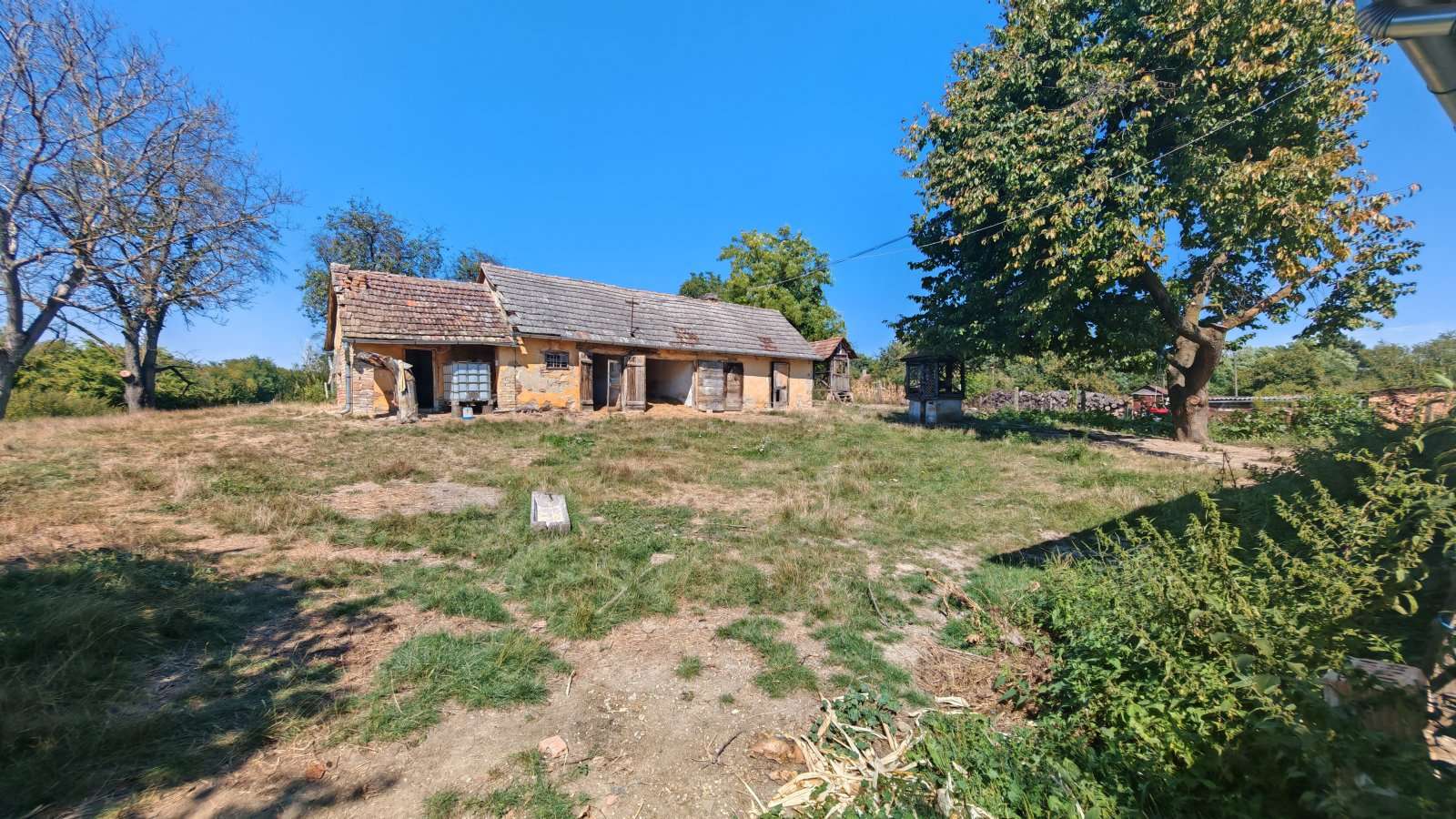 [object Object] - image