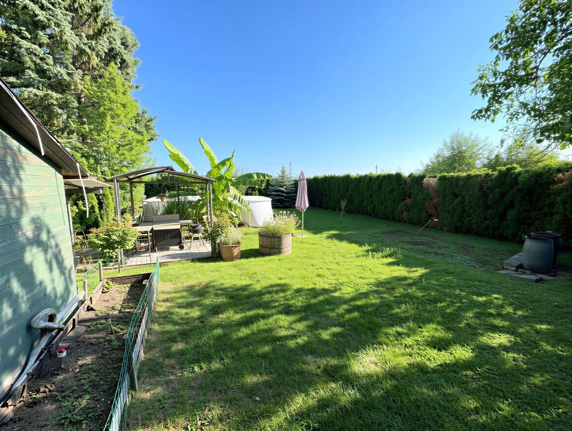 [object Object] - image