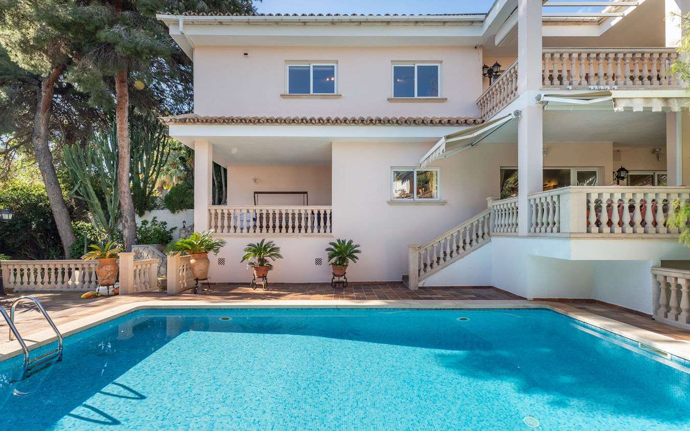 [object Object] - image