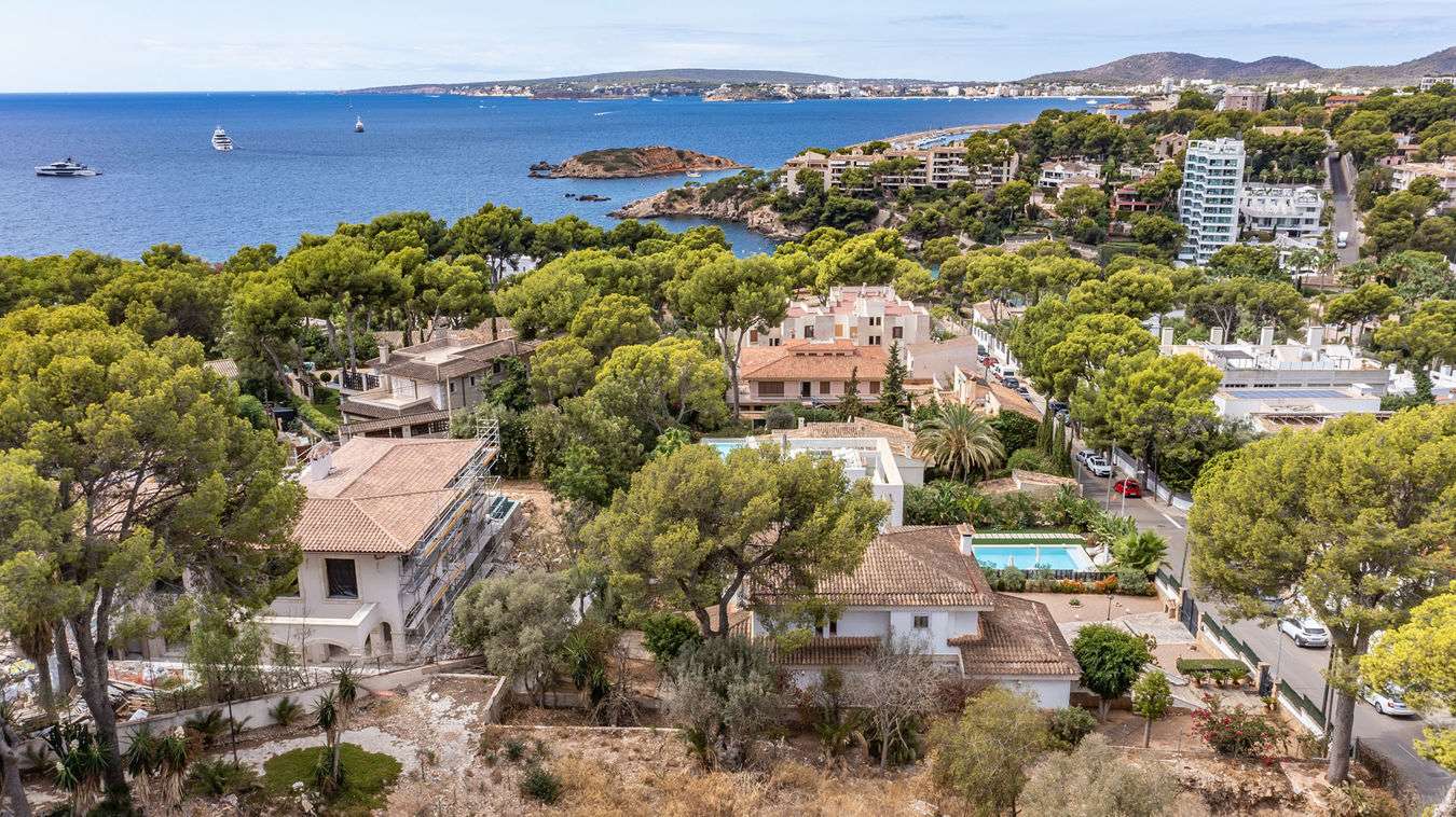 [object Object] - image