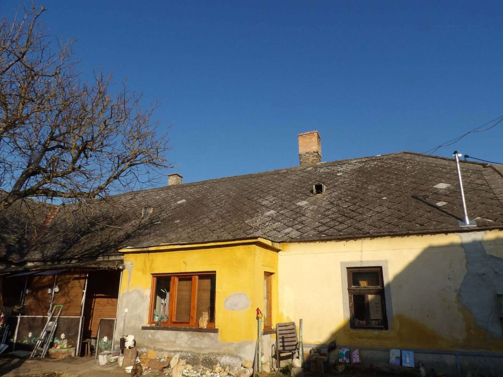 [object Object] - image