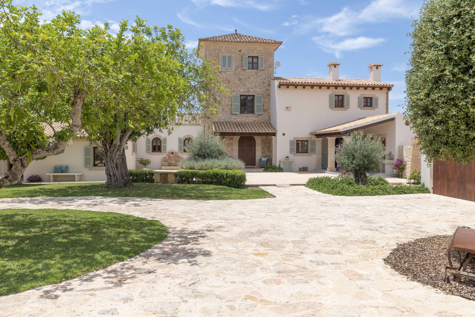 [object Object] - image