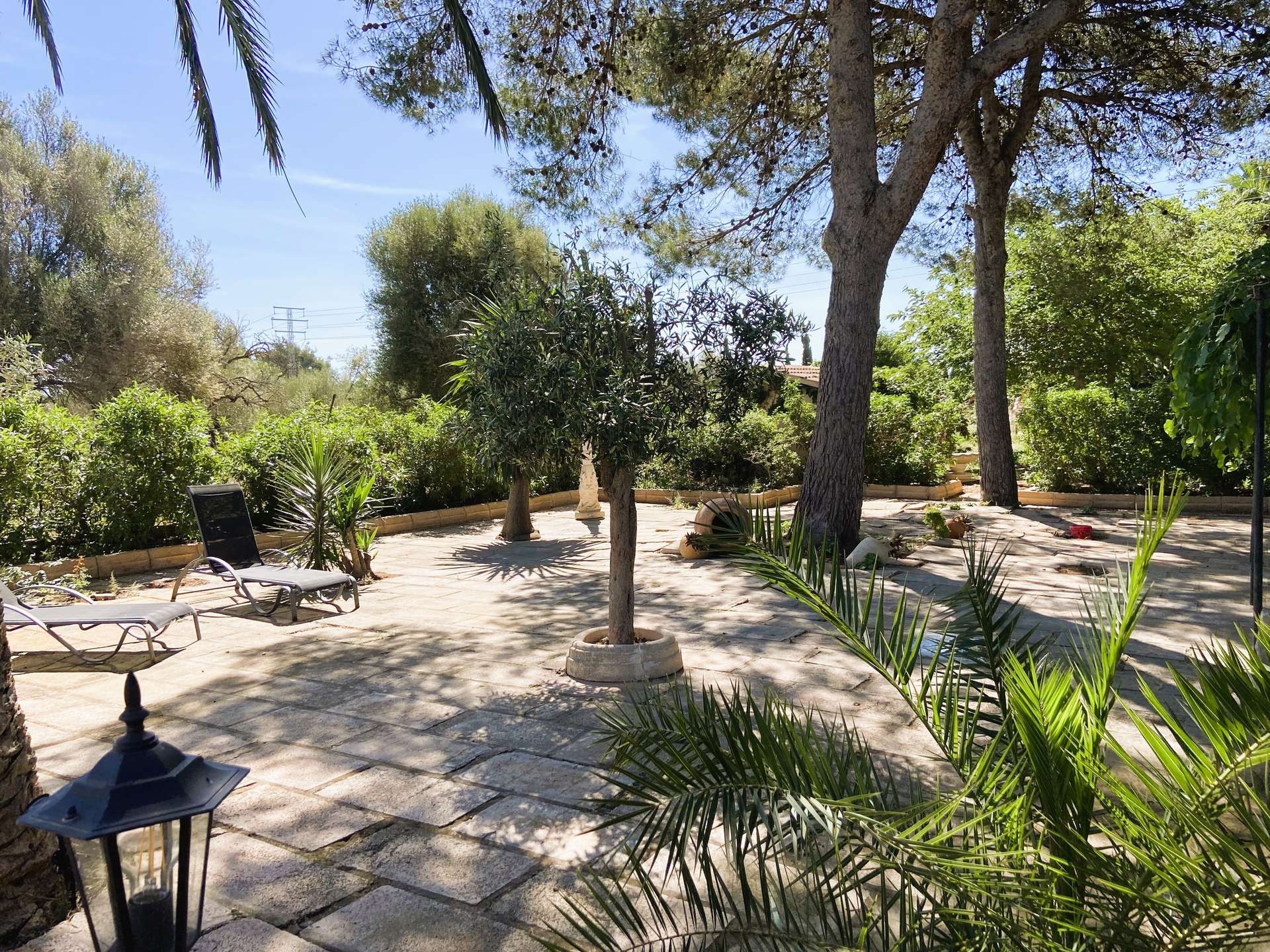 [object Object] - image